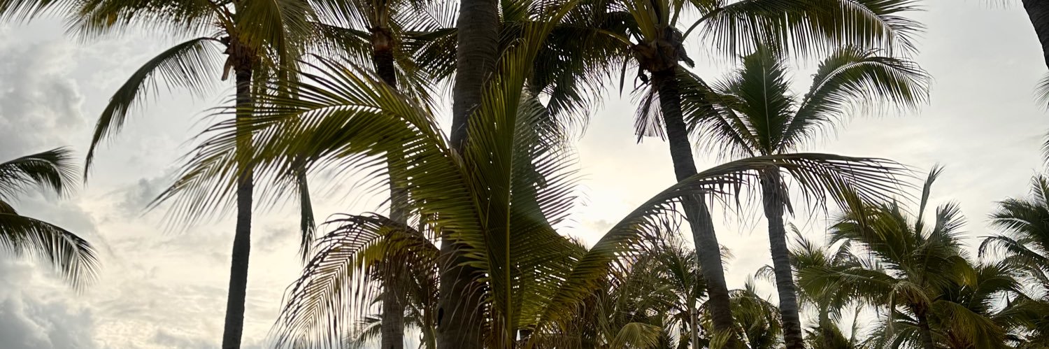 ammmnit's profile banner image