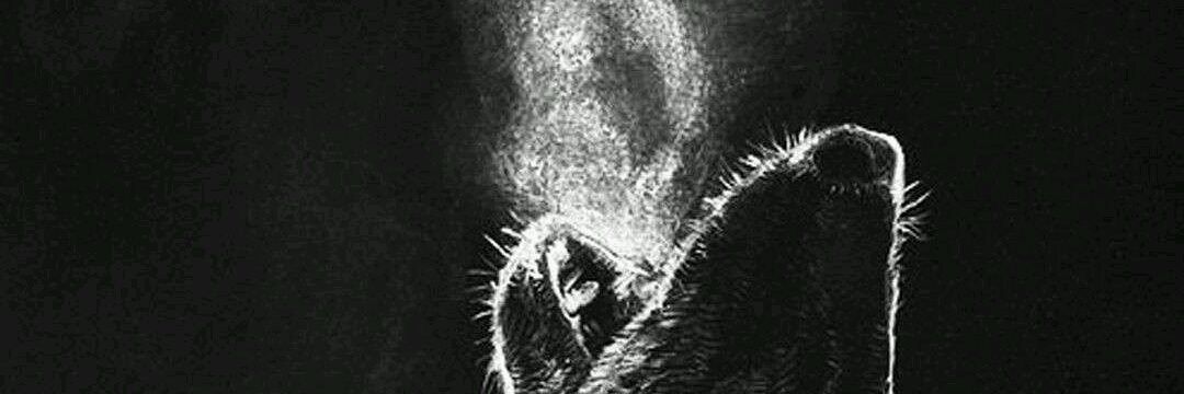 Eduardo González banner