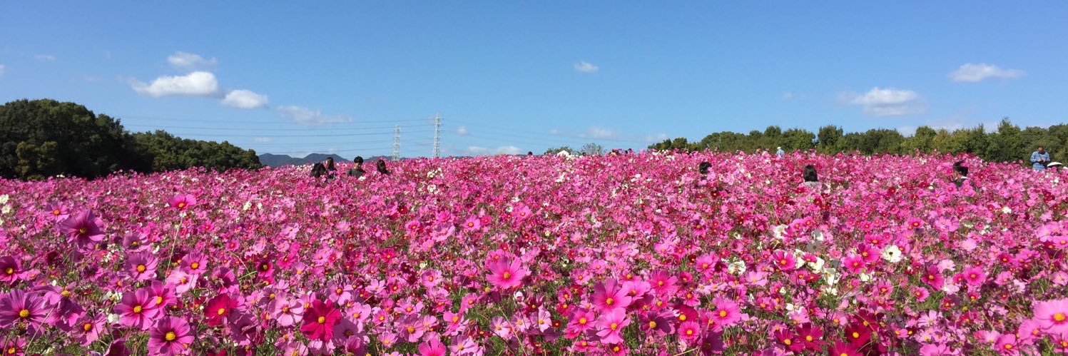 mayuchance1969's profile banner image