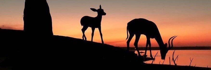 أبو أنس🇸🇦 banner