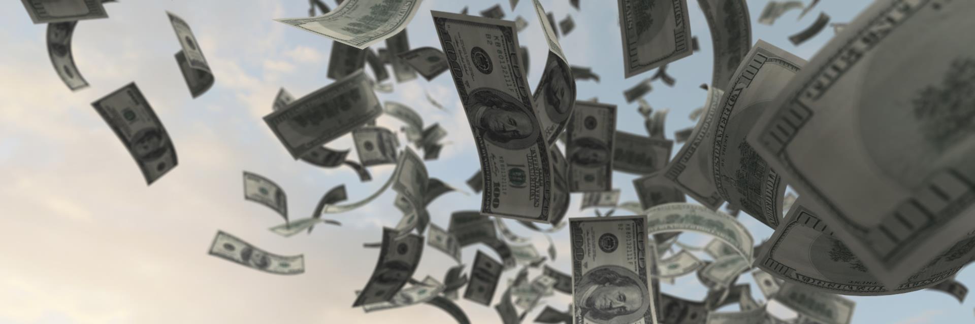 David King Picks banner