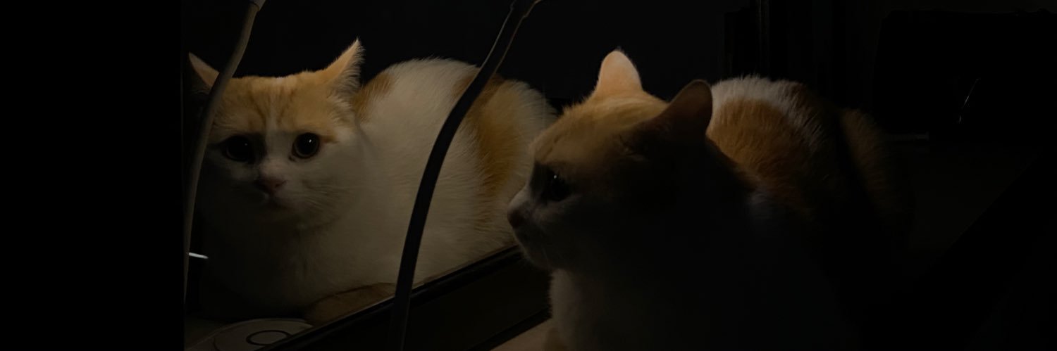 iil8_s's profile banner image
