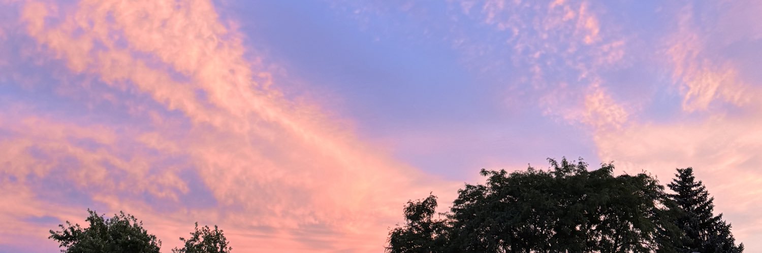 ally_smith53's profile banner image