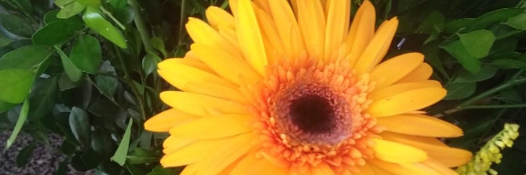 thammy_melo's profile banner image