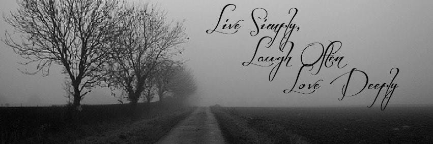 tabbykranz's profile banner image