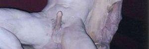 bynonamea's profile banner image