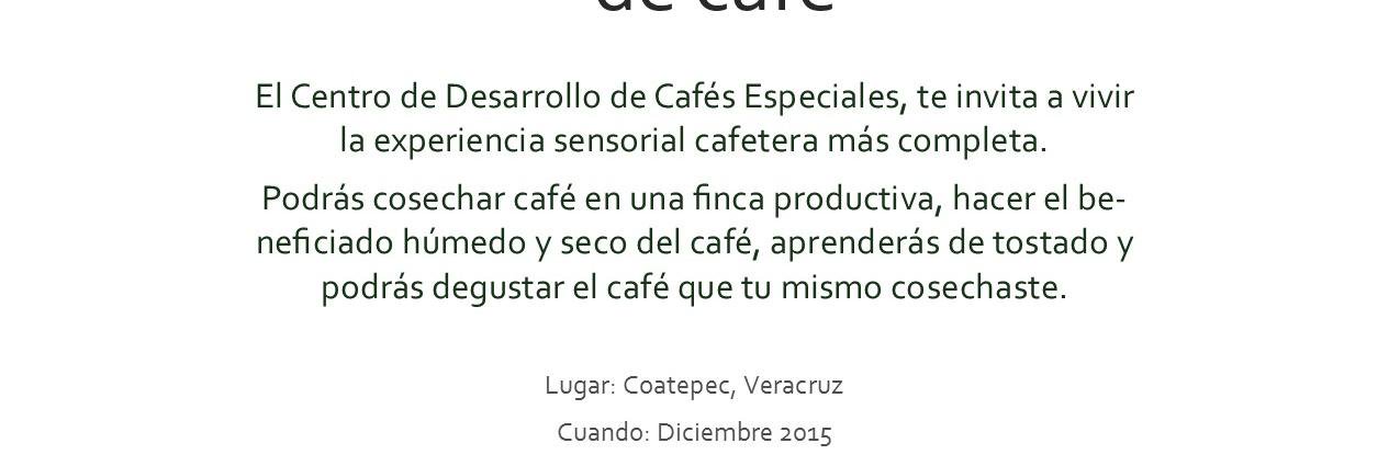 CedeCAFE's profile banner image