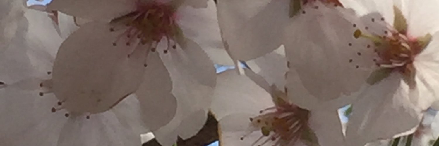 みお banner
