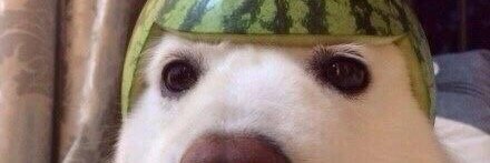 YoungTrapper19's profile banner image