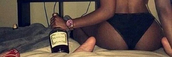 _SwiperTheFox Profile Banner