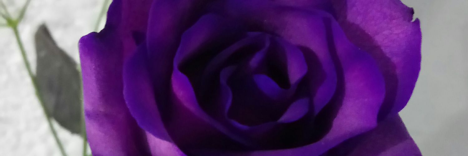 fericortes's profile banner image