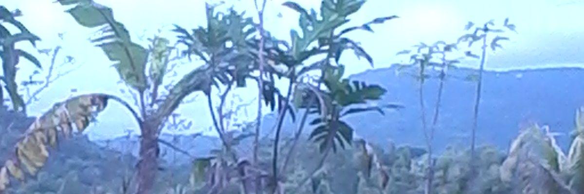 AzharAnggi's profile banner image