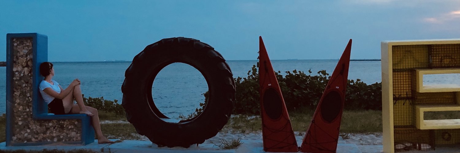 19allisong's profile banner image