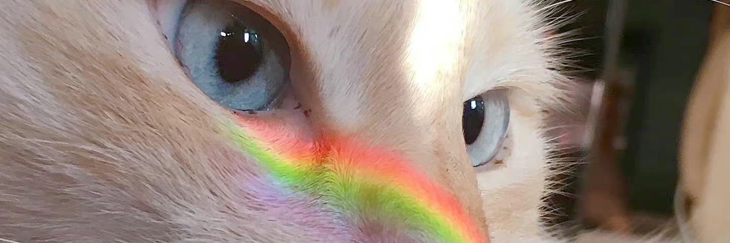 yijiaaaaaa's profile banner image