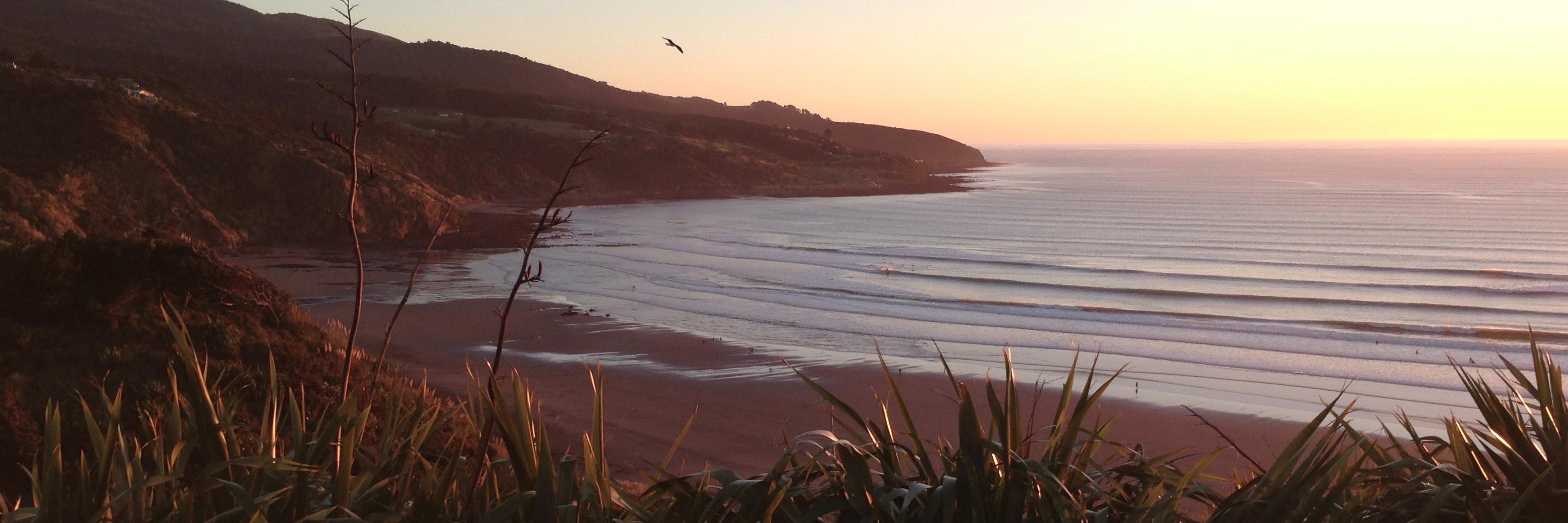 eCoast New Zealand banner