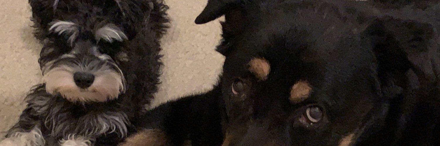madkimchee's profile banner image