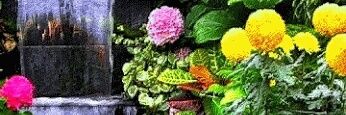 sgcsgc858's profile banner image