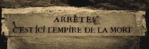 Doctor Docto. banner