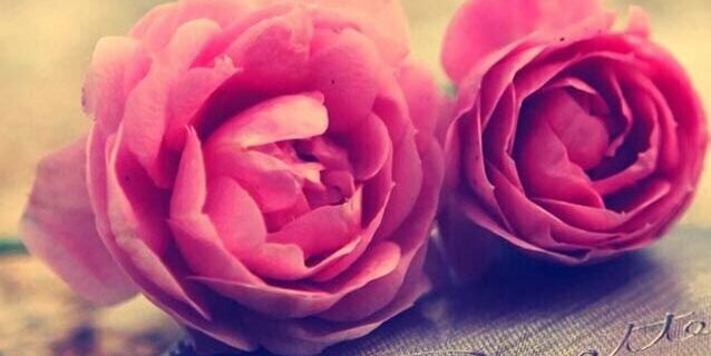 HiimiilceMaCal's profile banner image