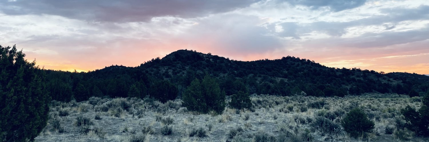 _xonicole's profile banner image
