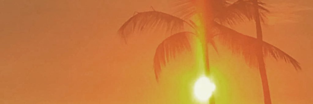 honeypiepie's profile banner image