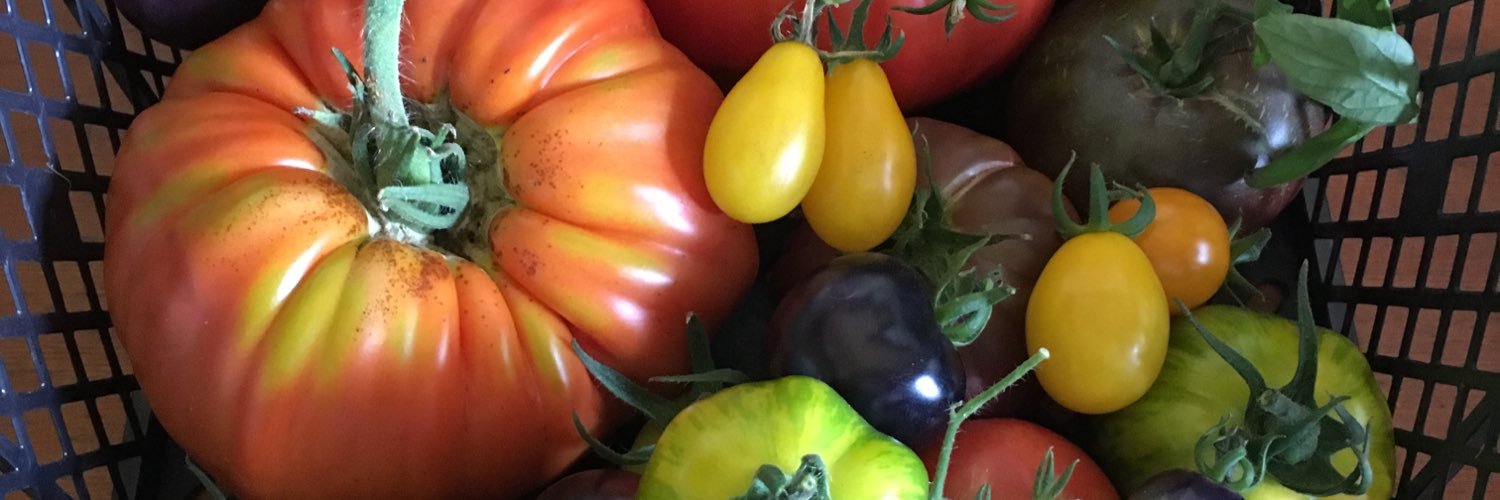 lauricafarm's profile banner image