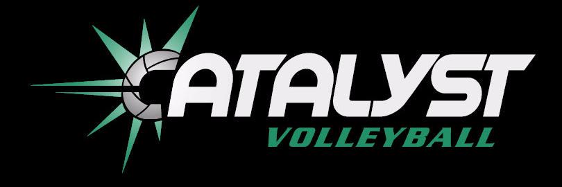 CatalystVolleyball banner