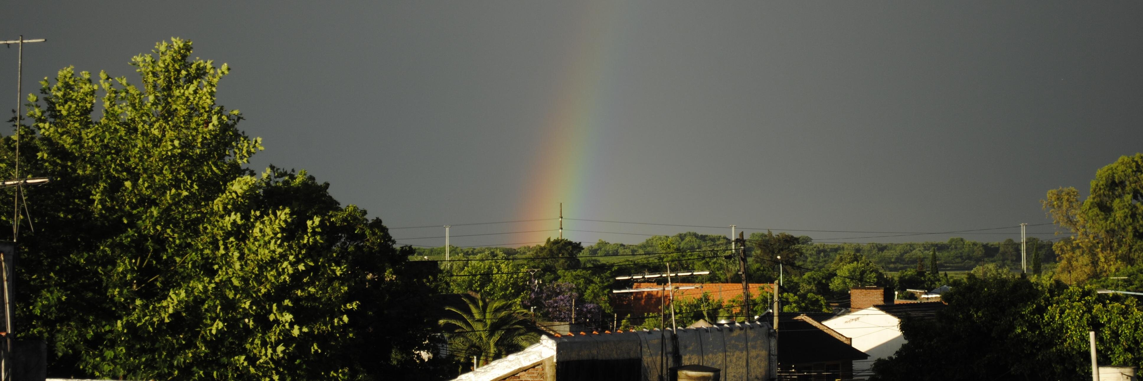 camilagaribaldi's profile banner image