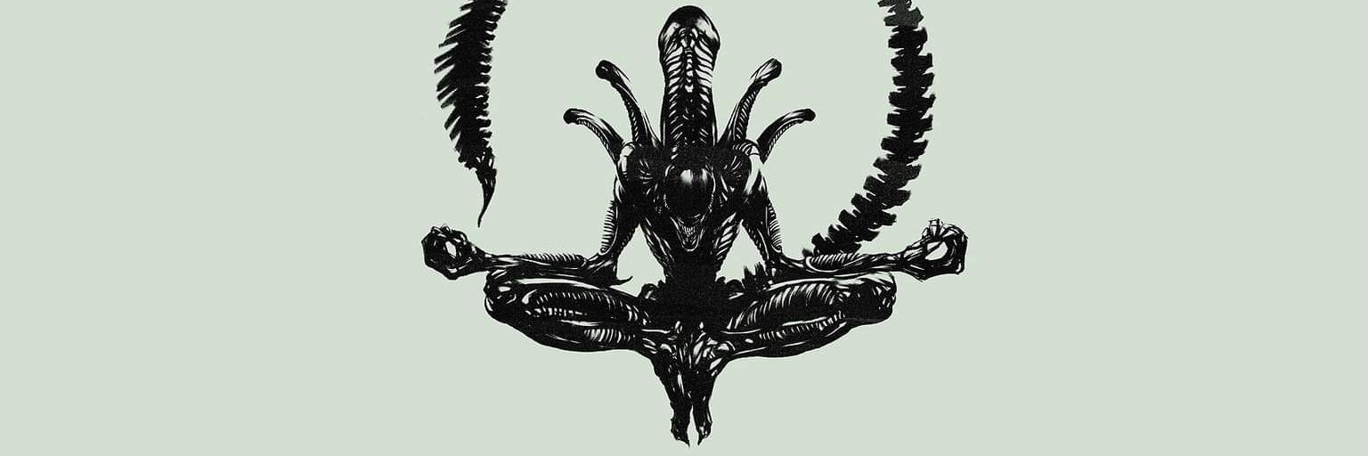 matorosales's profile banner image