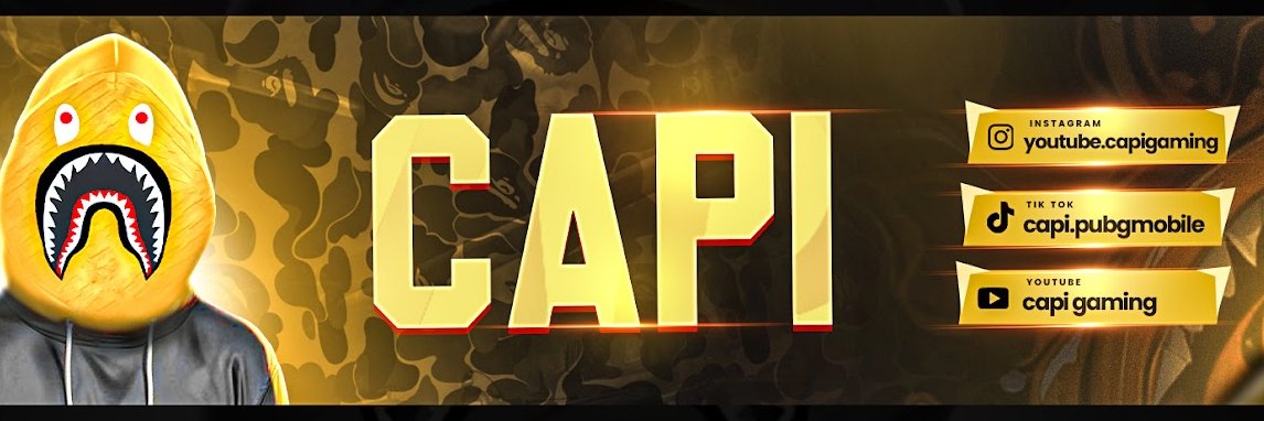 CAPI banner
