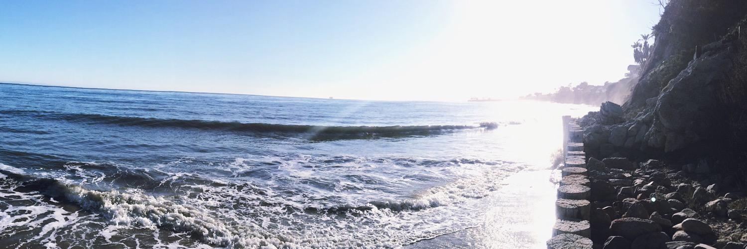 michellecho98's profile banner image