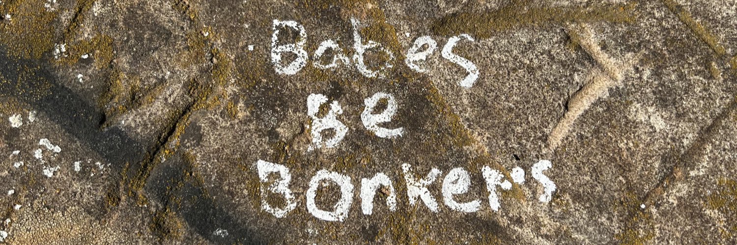 budderflybitch's profile banner image
