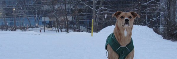 gabrielaelvina Profile Banner