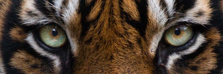 _NickNat773's profile banner image