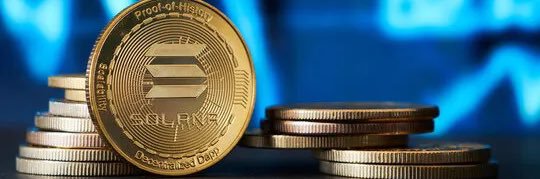 NonFungibleTommy banner