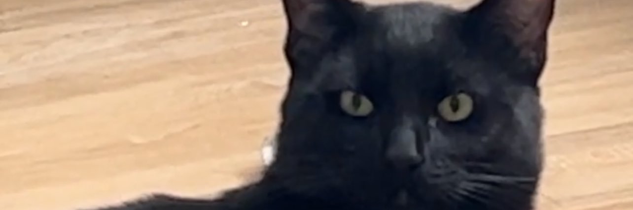 SaltyAlbert's profile banner image