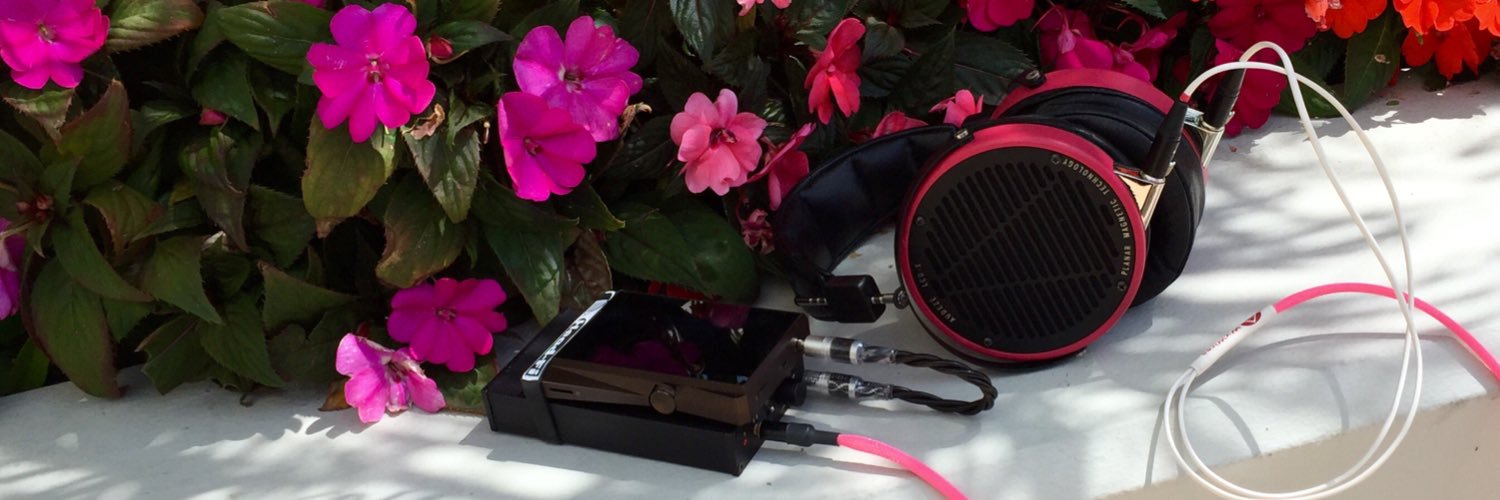 PrincessOfAudio's profile banner image