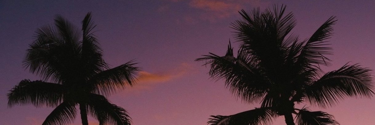 noradavis998's profile banner image