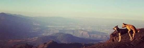 marcelof15's profile banner image