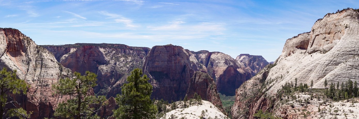 P-Y McLaughlin banner
