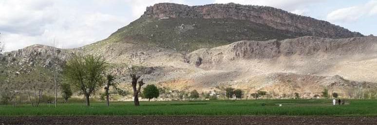 Saud Bangash banner