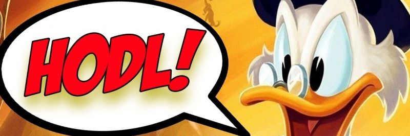 DonalDuckBTC's profile banner image