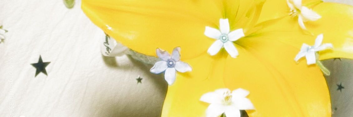 Aubrie. banner