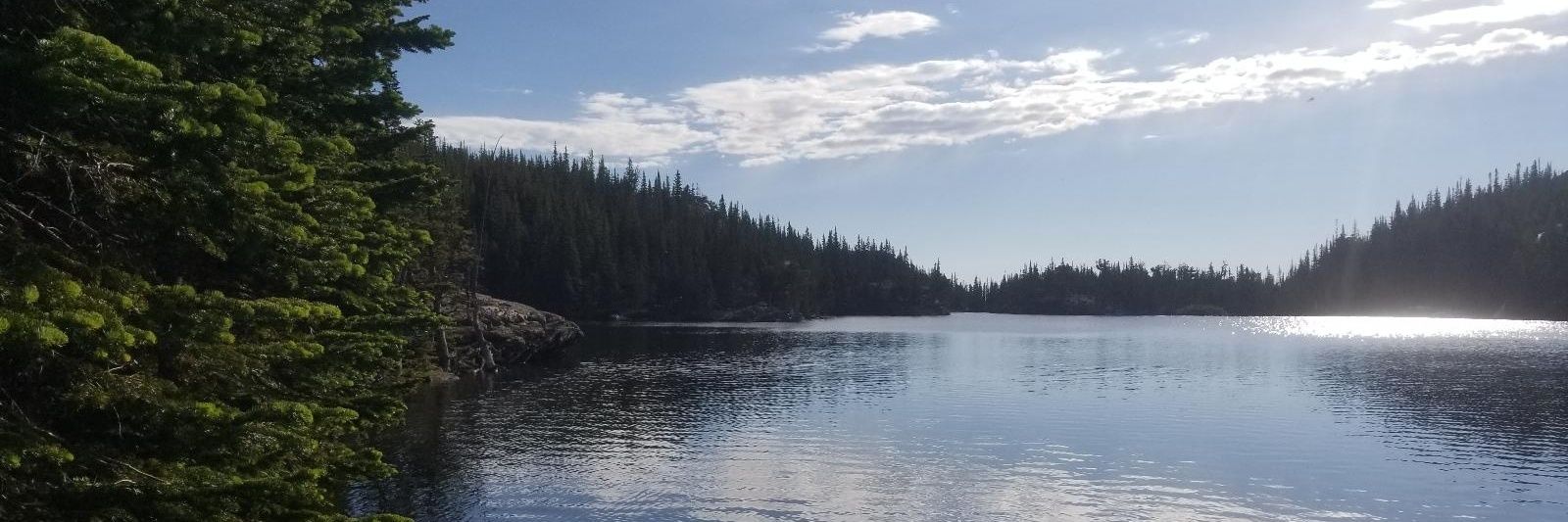 SheilaIsADahl's profile banner image