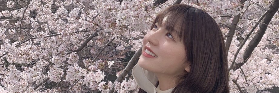 NOGIBINGO8's profile banner image