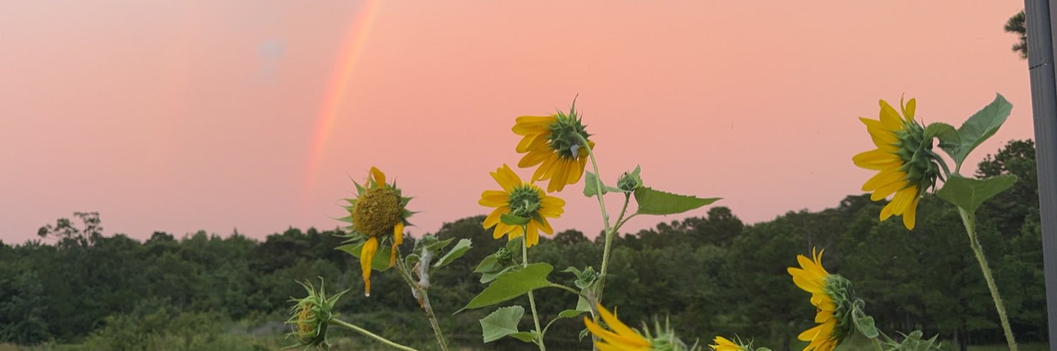 KaylinShyane's profile banner image