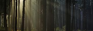 pcrawfordauthor's profile banner image