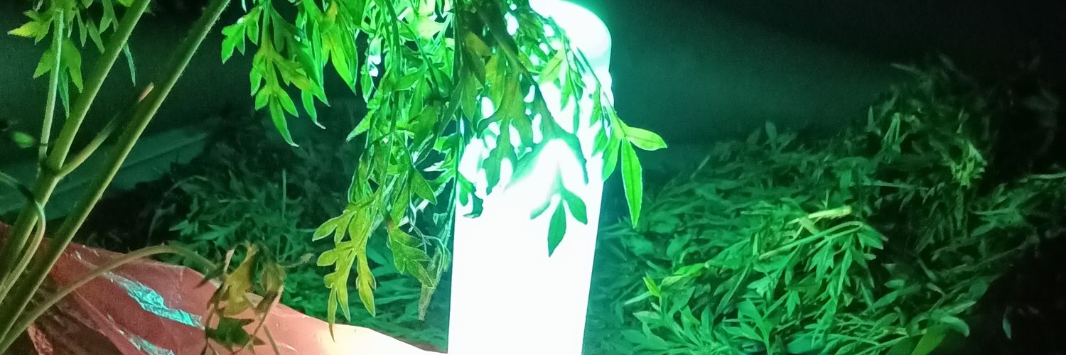 anajm_____'s profile banner image