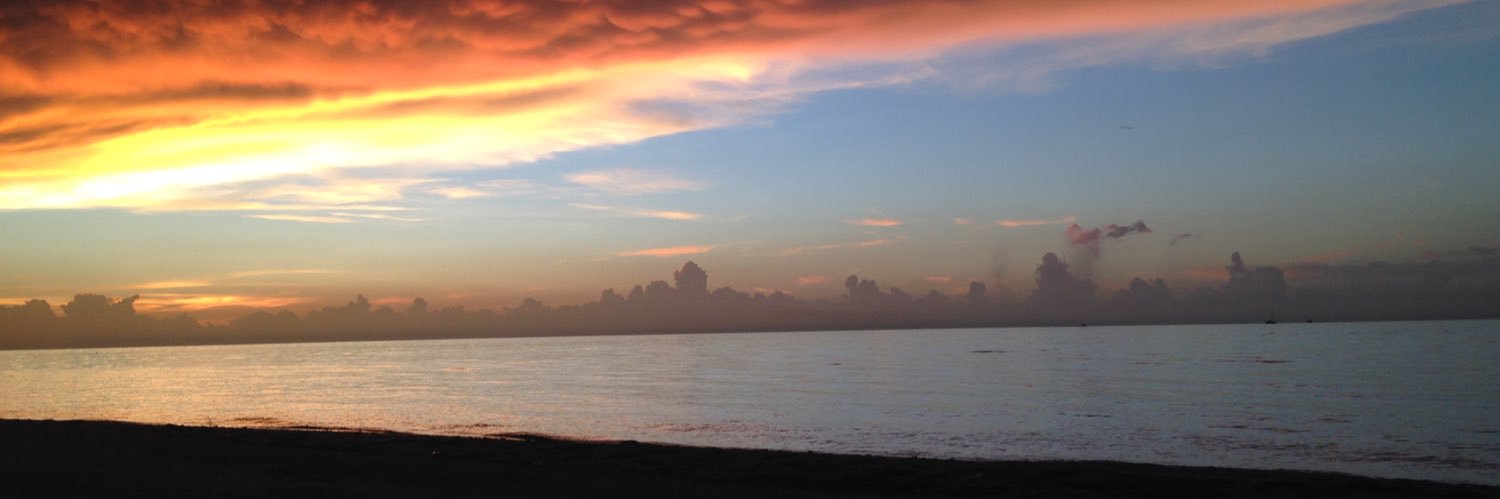 Cfacid 🌴🐠 banner