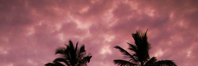 Nad594's profile banner image